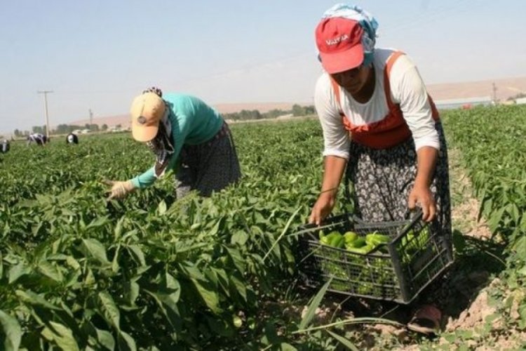Tarımda &uuml;retici enflasyonu y&uuml;kseldi