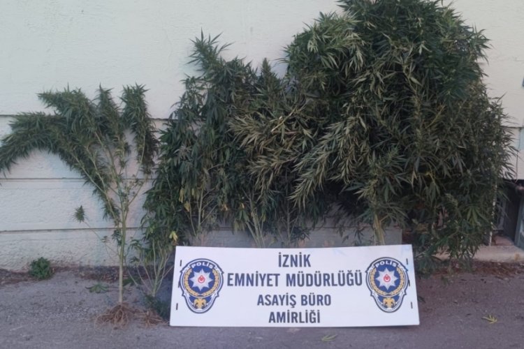 Bursa'da uyuşturucu operasyonu: 2 kişi g&ouml;zaltına alındı