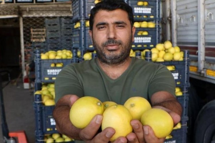 Bah&ccedil;ede kilosu 3, market de 24 lira!