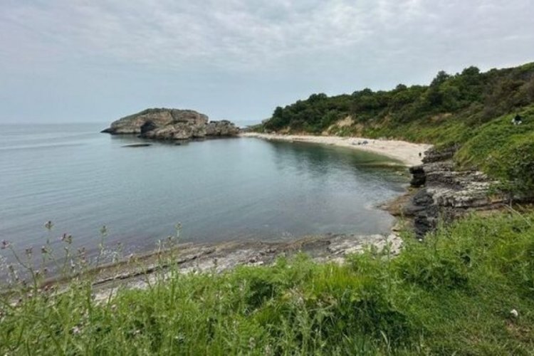 Kocaeli'de deniz kıyısında kısmen par&ccedil;alanmış cansız beden bulundu