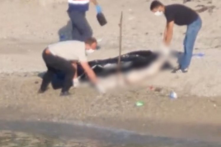 Kocaeli'de par&ccedil;alanmış ceset kıyıya vurmuştu! Dehşet verici g&ouml;r&uuml;nt&uuml;ler ortaya &ccedil;ıktı