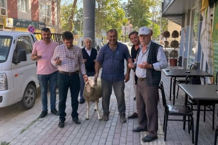 Bursa'da servis&ccedil;iler dualar edip kurban keserek sezona başladı