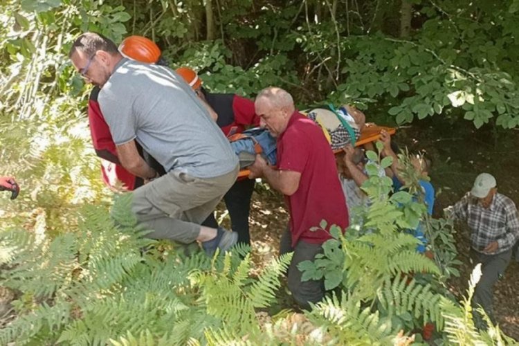 Bolu'da Kıbrıs gazisi trakt&ouml;r kazasında hayatını kaybetti