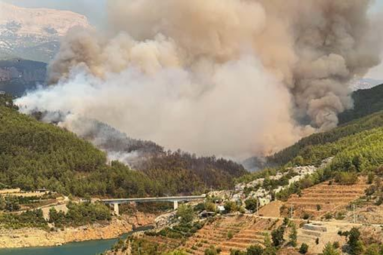 Antalya'da orman yangını! Bakan Yumaklı a&ccedil;ıklama yaptı