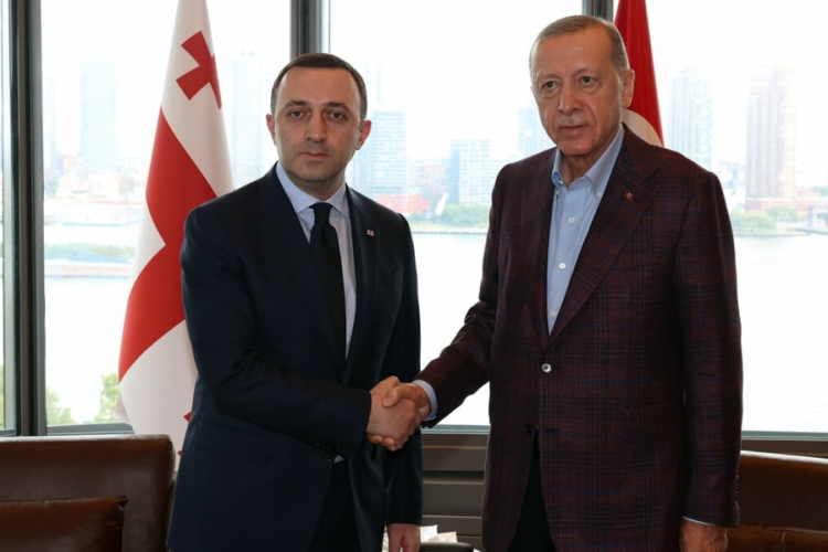 Cumhurbaşkanı Erdoğan, G&uuml;rcistan&nbsp;Başbakanı Garibashvili'yi ağırladı