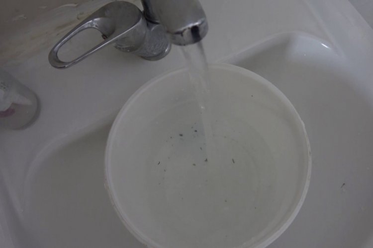 Adıyaman'da musluklardan kurt&ccedil;uk aktı!