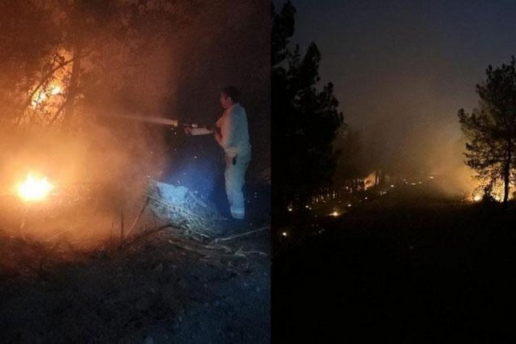 İzmir'deki orman yangını devam ediyor