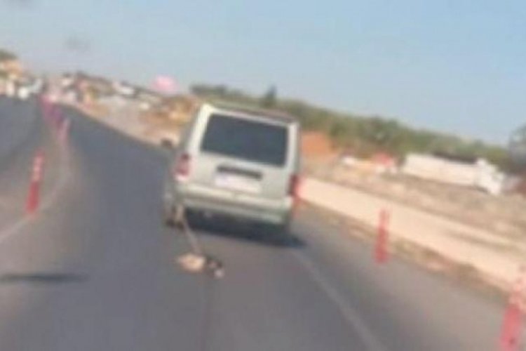 Gaziantep'te k&ouml;peği otomobile ip ile bağlayıp s&uuml;r&uuml;kledi!