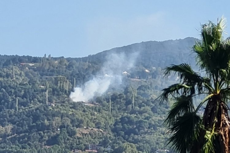 Bursa'da ormanlık alanda yangın!&nbsp;