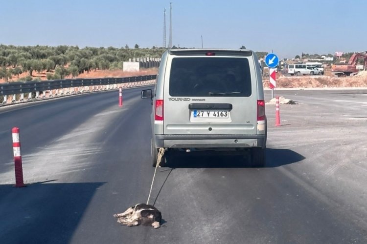K&ouml;peği aracın arkasına bağlayarak s&uuml;r&uuml;kleyen şahıs yakalandı!