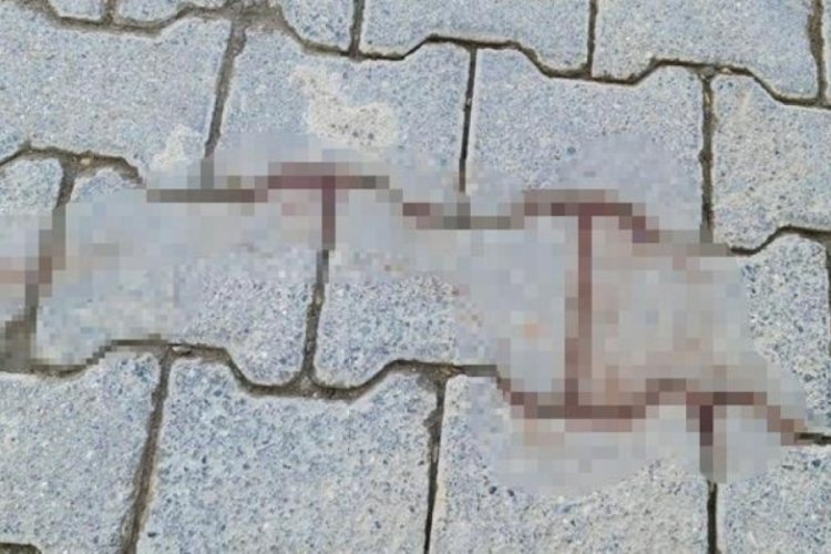 Diyarbakır'da 11 aylık bebeğin feci &ouml;l&uuml;m&uuml;! Babası ezdi