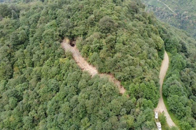 Trabzon'da define i&ccedil;in ormanda yol a&ccedil;tılar