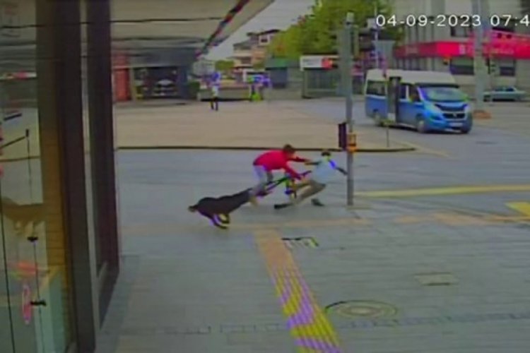Sokak k&ouml;peğinin kovaladığı bisikletli &ccedil;ocuk, yayaya &ccedil;arptı