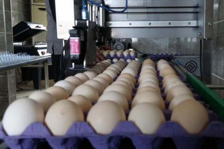 Yumurtada fiyat artışı durmak bilmiyor