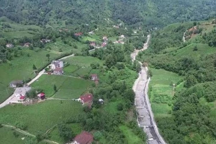 Artvin'de kuduz karantinası!