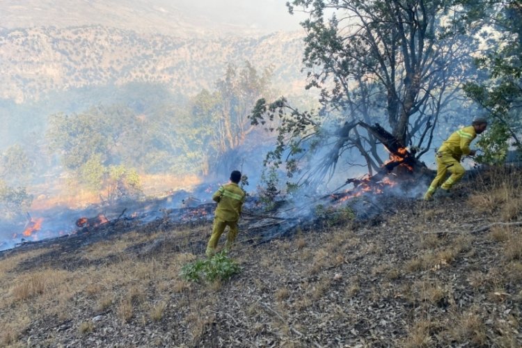 Şırnak Cudi Dağı'nda &ccedil;ıkan yangın kontrol altına alındı