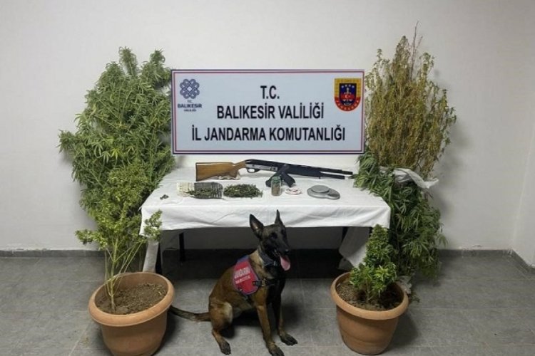Ayvalık'ta bir kilogram uyuşturucu madde ele ge&ccedil;irildi