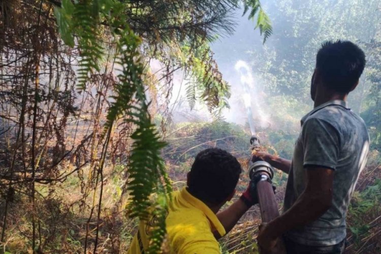 Kastamonu'da orman yangını ekiplerin m&uuml;dahalesiyle b&uuml;y&uuml;meden s&ouml;nd&uuml;r&uuml;ld&uuml;