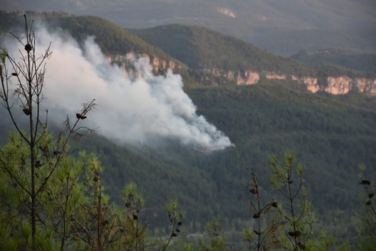 Karab&uuml;k Valisi'nden orman yangınına dair a&ccedil;ıklama: M&uuml;dahale devam ediyor