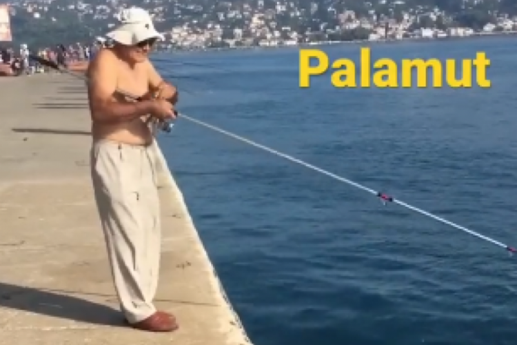 Bu da olmaz ama dedirten olay! Balığa araba &ccedil;arptı