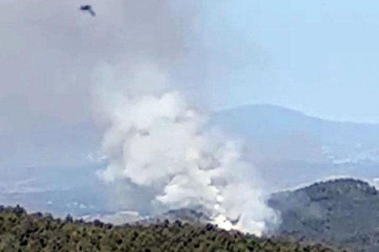 K&uuml;tahya'da orman yangını!