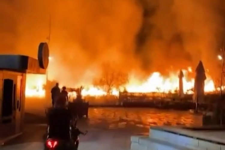 Beyoğlu Evlendirme Dairesi'nin bah&ccedil;esinde korkutan yangın!