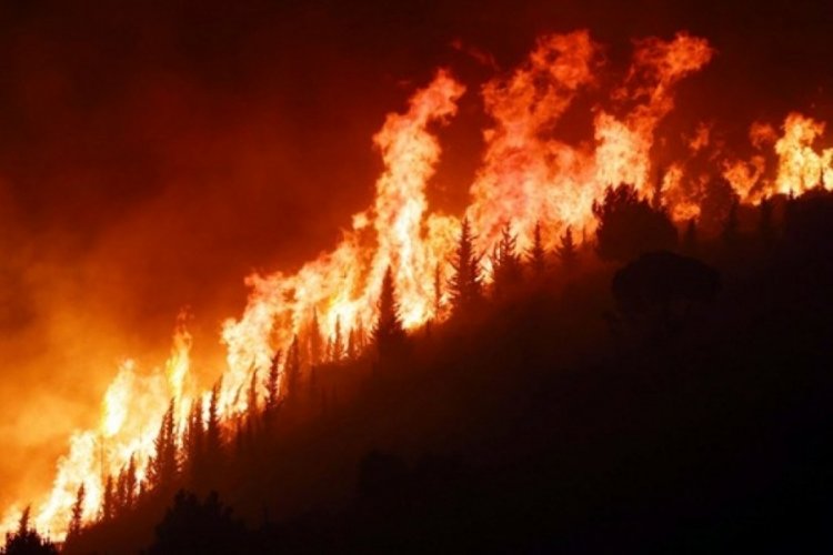 İtalya'da orman yangını! 2 kişi hayatını kaybetti