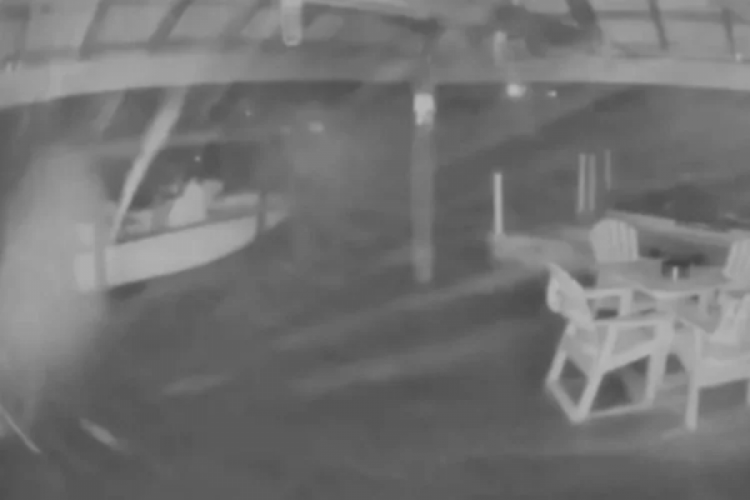 ABD'yi Ophelia fırtınası vurdu! 70 bin kişi etkilendi