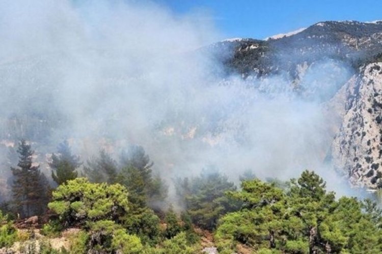 Antalya ve Muğla'da orman yangını