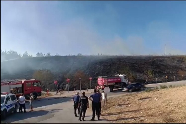 Bursa'da gen&ccedil;ler ormanı yakacaktı