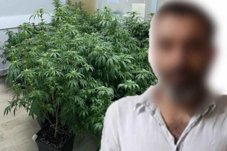 Kiraladığı evi zehir tarlasına &ccedil;evirdi