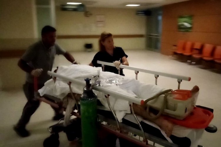 Bursa'da otomobilin &ccedil;arptığı bisikletli s&uuml;r&uuml;c&uuml; ağır yaralandı
