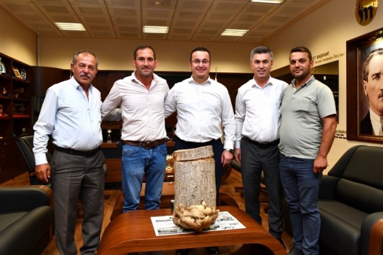 Mustafakemalpaşa tarımda yeni bir kapı arıladı: K&uuml;t&uuml;k mantarı yetiştiriciliği