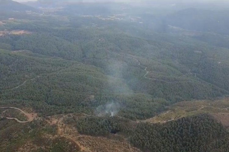 Manisa'da orman yangını!