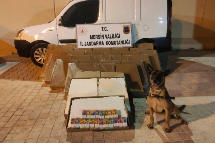 Mersin'de 161 bin 200 ka&ccedil;ak makaron ele ge&ccedil;irildi