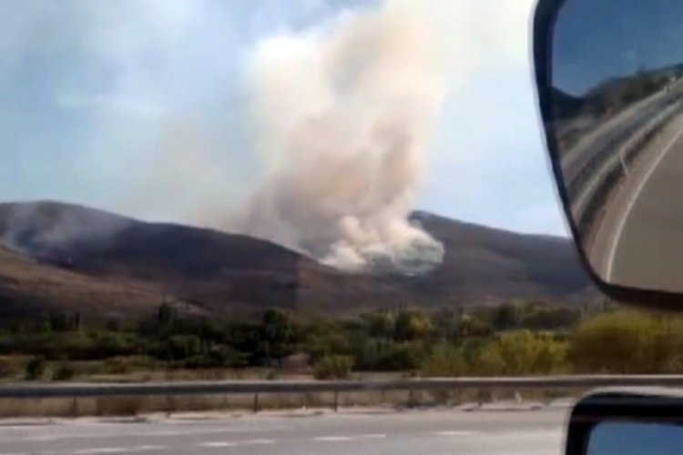 &Ccedil;ankırı'da ağa&ccedil;lık alanda yangın!
