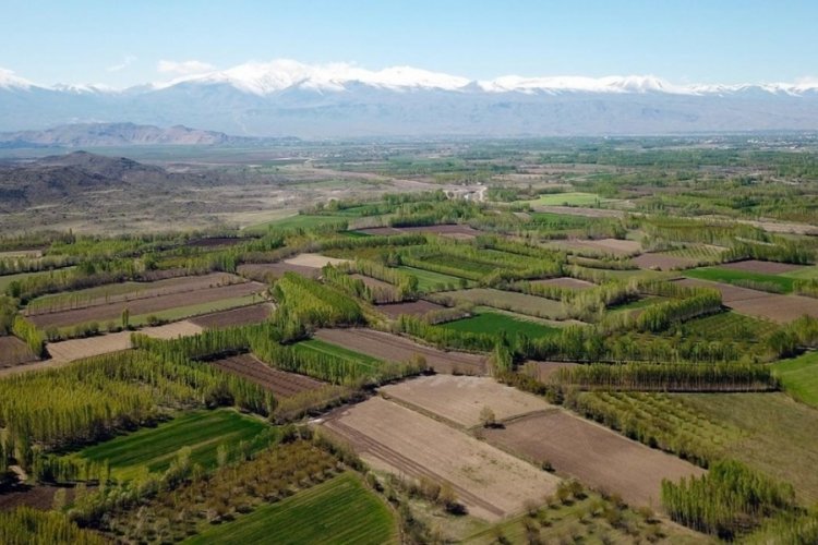 Devletten yeni uygulama: Anneden, babadan kalan tarla, toprak, bağ varsa aman dikkat!