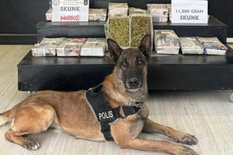 16 ilde uyuşturucu operasyonu! Bursa'da 32 kişi yakalandı