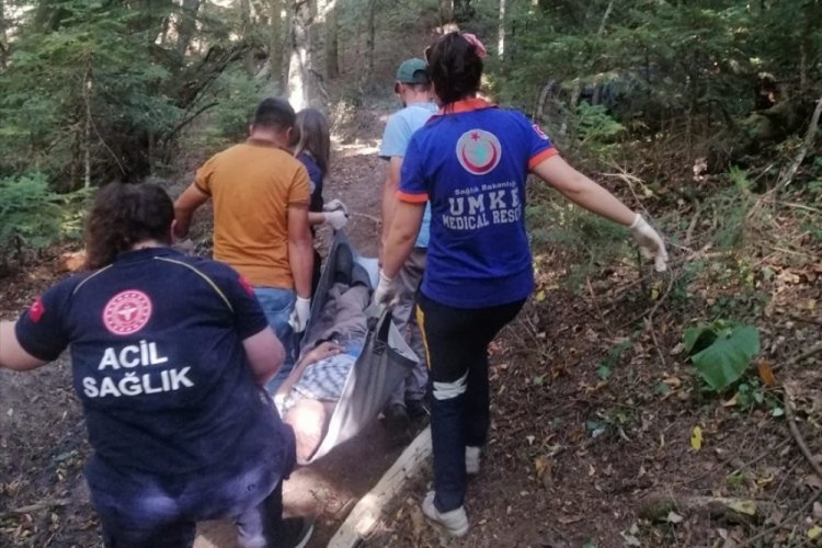 Bolu'da ormanda rahatsızlandı! Sedyeyle 1 kilometre taşındı