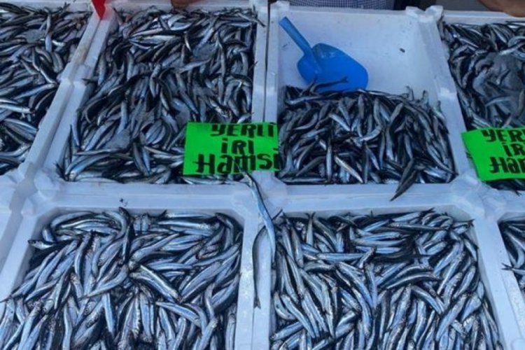 Hamsinin kilosu 80 liradan alıcı buldu