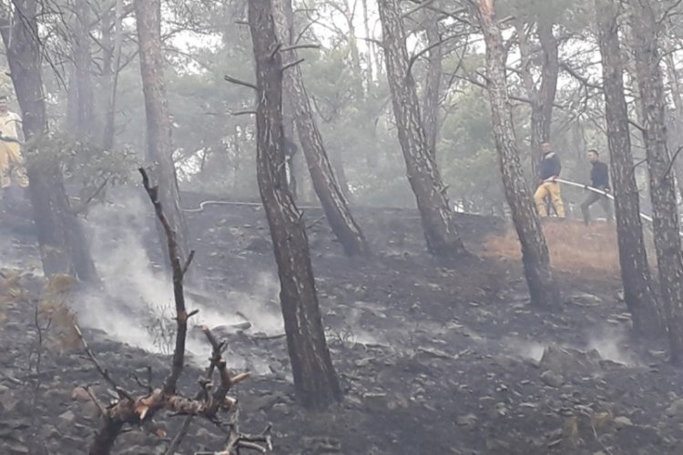 &Ccedil;anakkale'de yıldırım d&uuml;şmesi sonucu &ccedil;ıkan &ouml;rt&uuml; yangını kontrol altında
