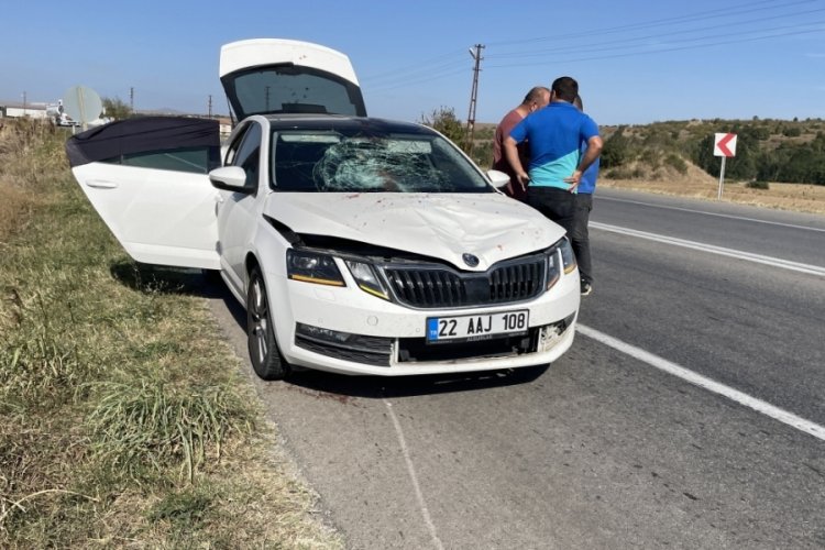 Edirne'de otomobilin &ccedil;arptığı yaya yaşamını yitirdi