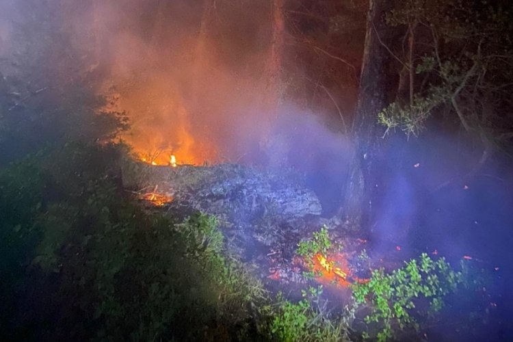 Bursa'da yıldırım düşmesi sonucu çıkan orman yangını söndürüldü