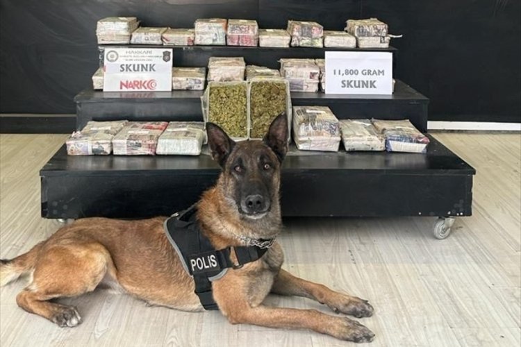 Hakkari'de 24 kilo 60 gram uyuşturucu ele ge&ccedil;irildi