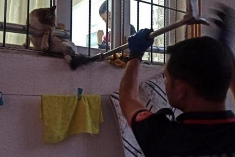 Batman'da kedi pencere korkuluklarına sıkıştı! İtfaiye kurtardı