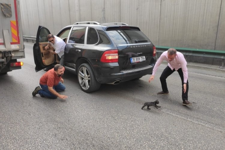 Bursa'da insanlık &ouml;lmedi! Kediyi kurtarmak i&ccedil;in trafiği durdurdu