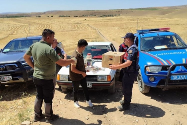 Sivas'ta şahin avlayan iki kişinin kullandıkları otomobile el konuldu.