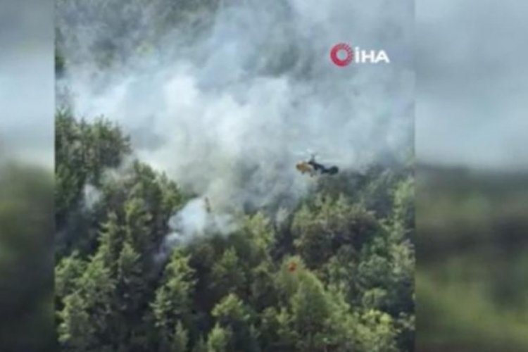 Adana'da orman yangını!