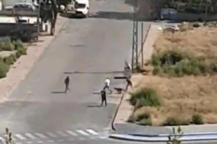 Kayseri'de k&ouml;peğin saldırdığı genci kurtaran yaşlı kadın konuştu
