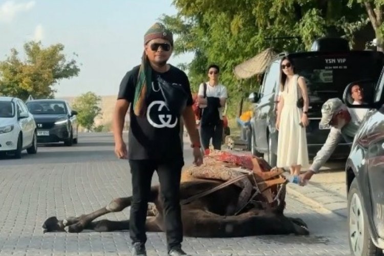Kapadokya'da iş y&uuml;k&uuml;ne dayanamayan deve bayıldı
